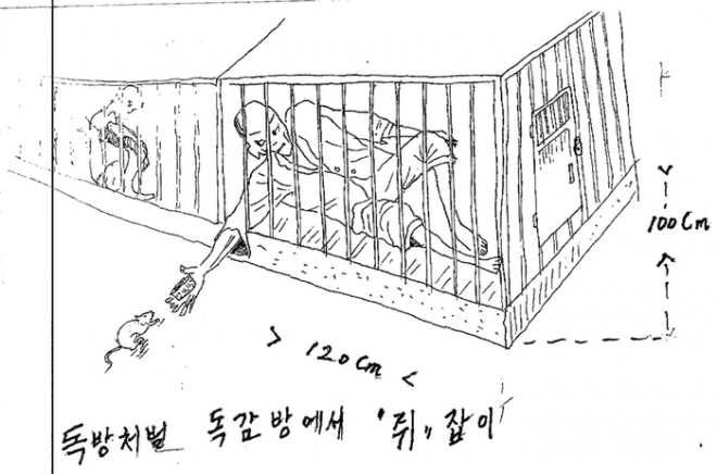 disegni -3 png