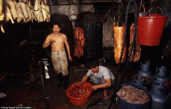 kowloon-walled-city-32