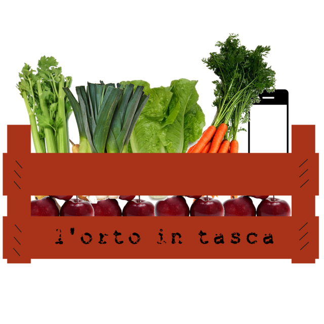 orto in tasca
