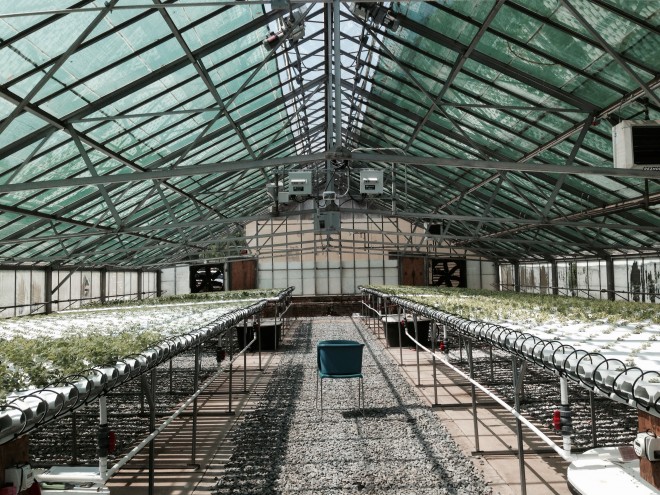 Bjull_Newark_RadicleFarm_Hydroponics
