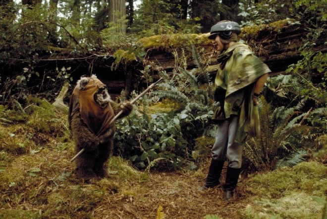Ewok