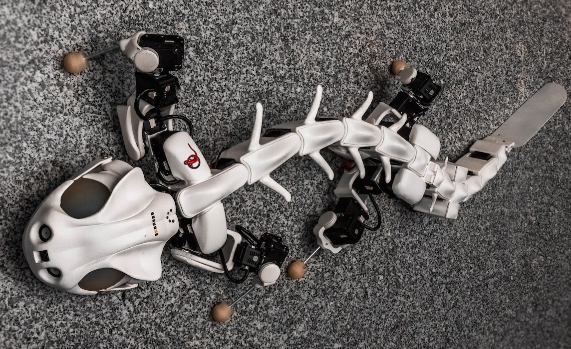 pleurobot