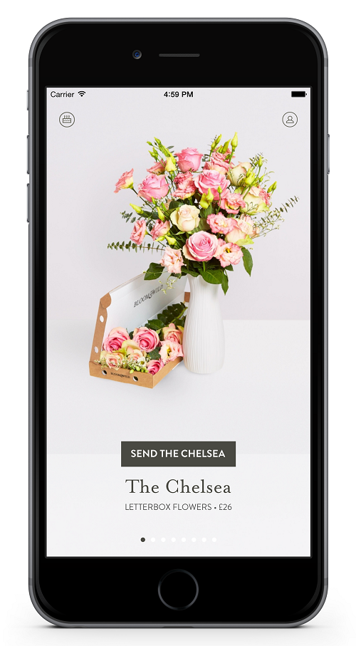 BloomWild