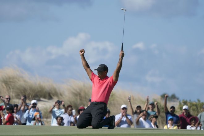 tiger woods 2