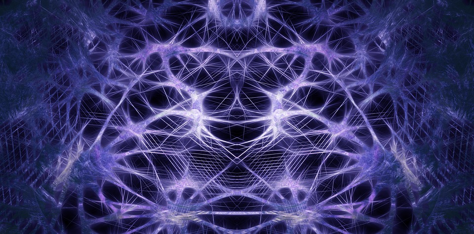 cervello