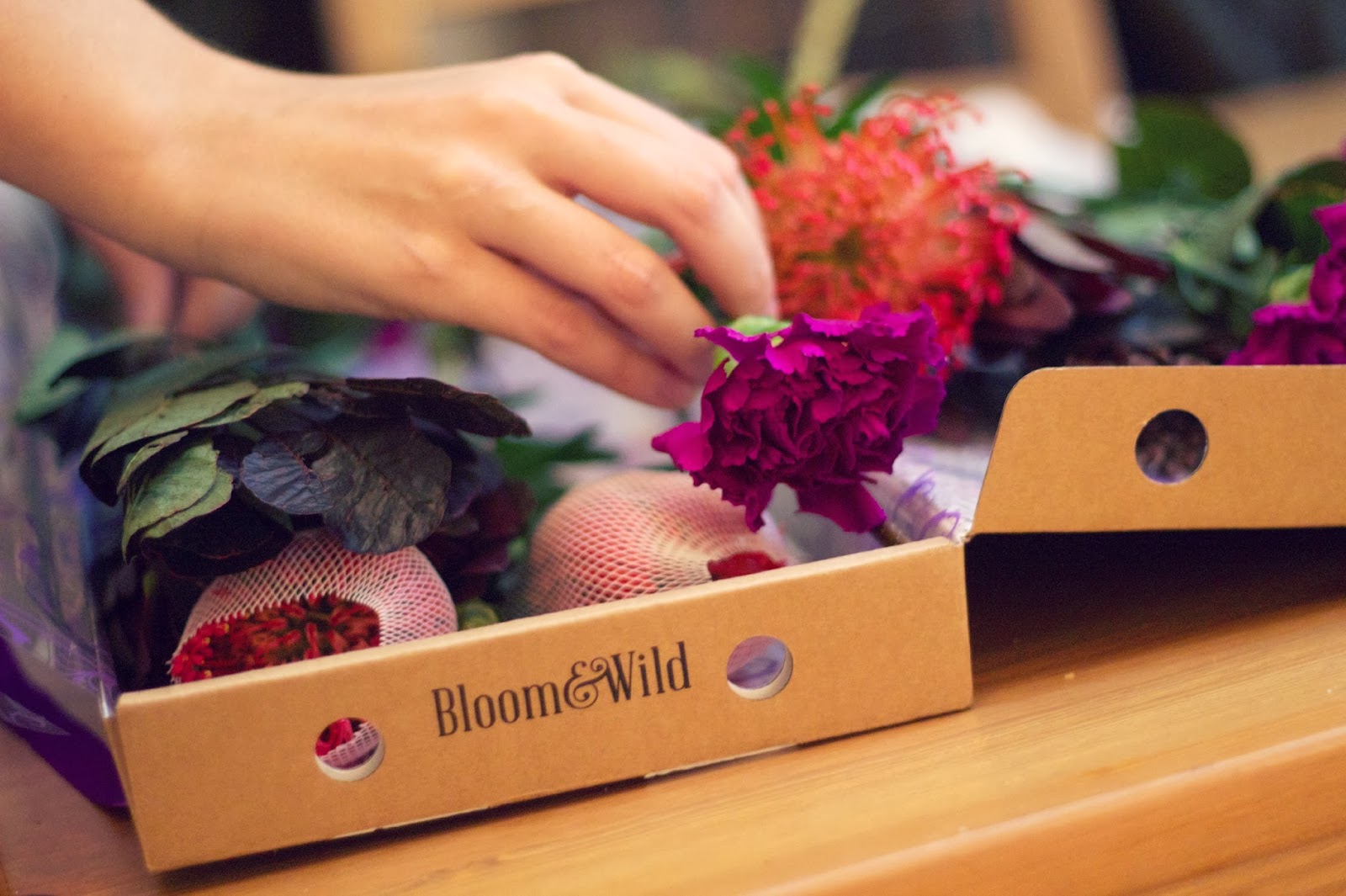 Bloom & Wild
